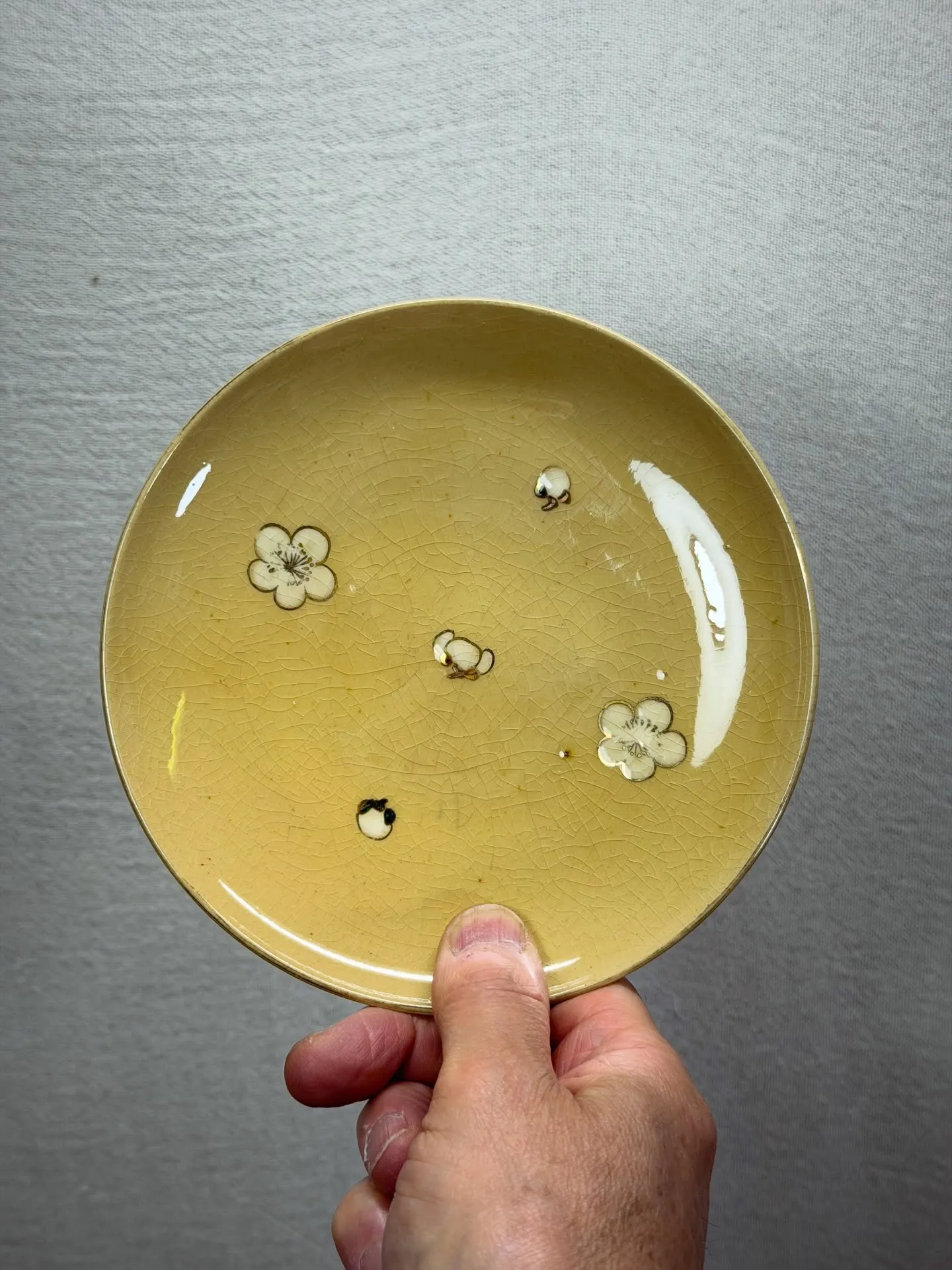 【布志名焼 散梅花絵 中皿 島根県 民芸】