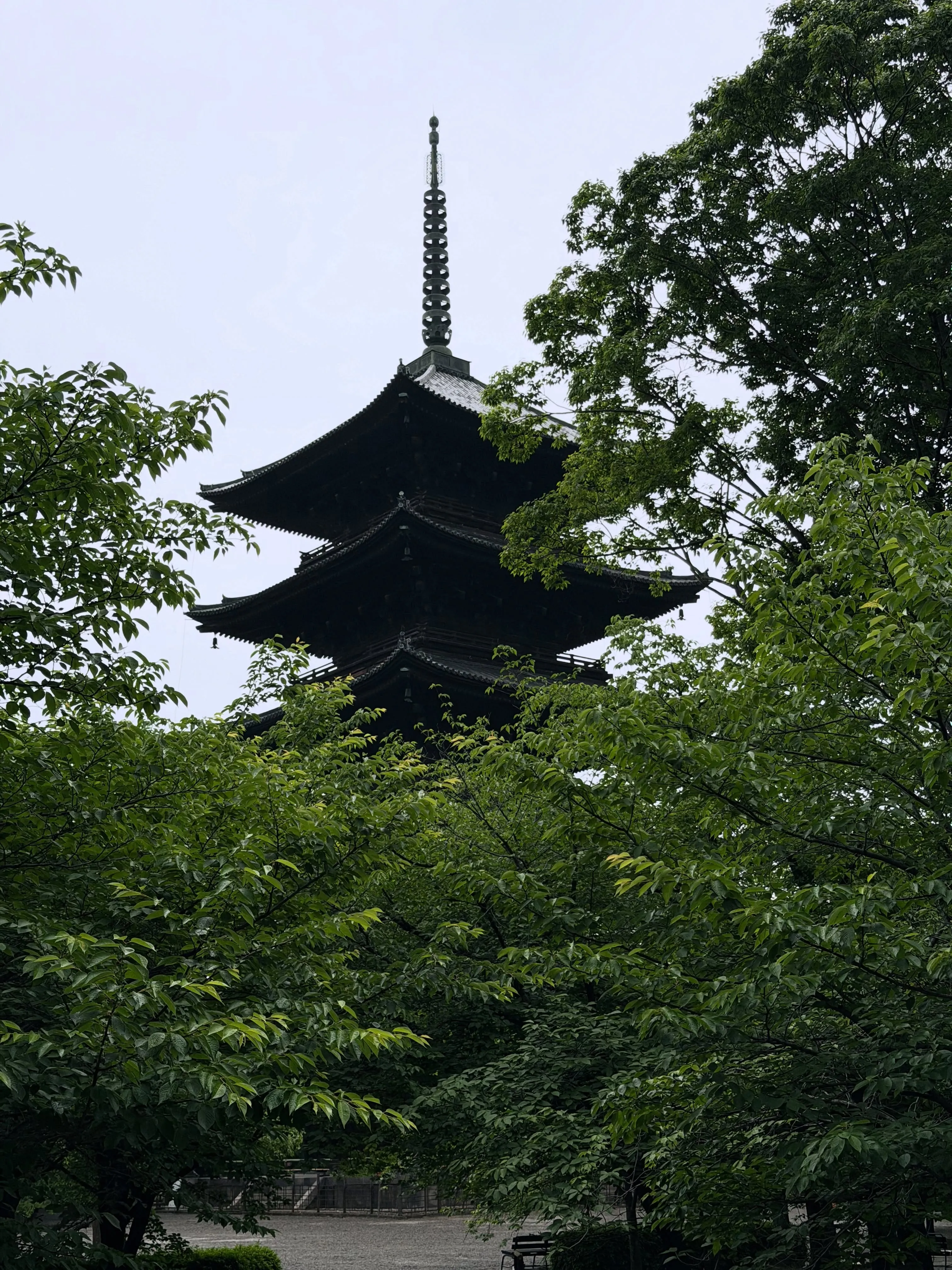 【京都 東寺 弘法市 毎月21日開催 骨董市】