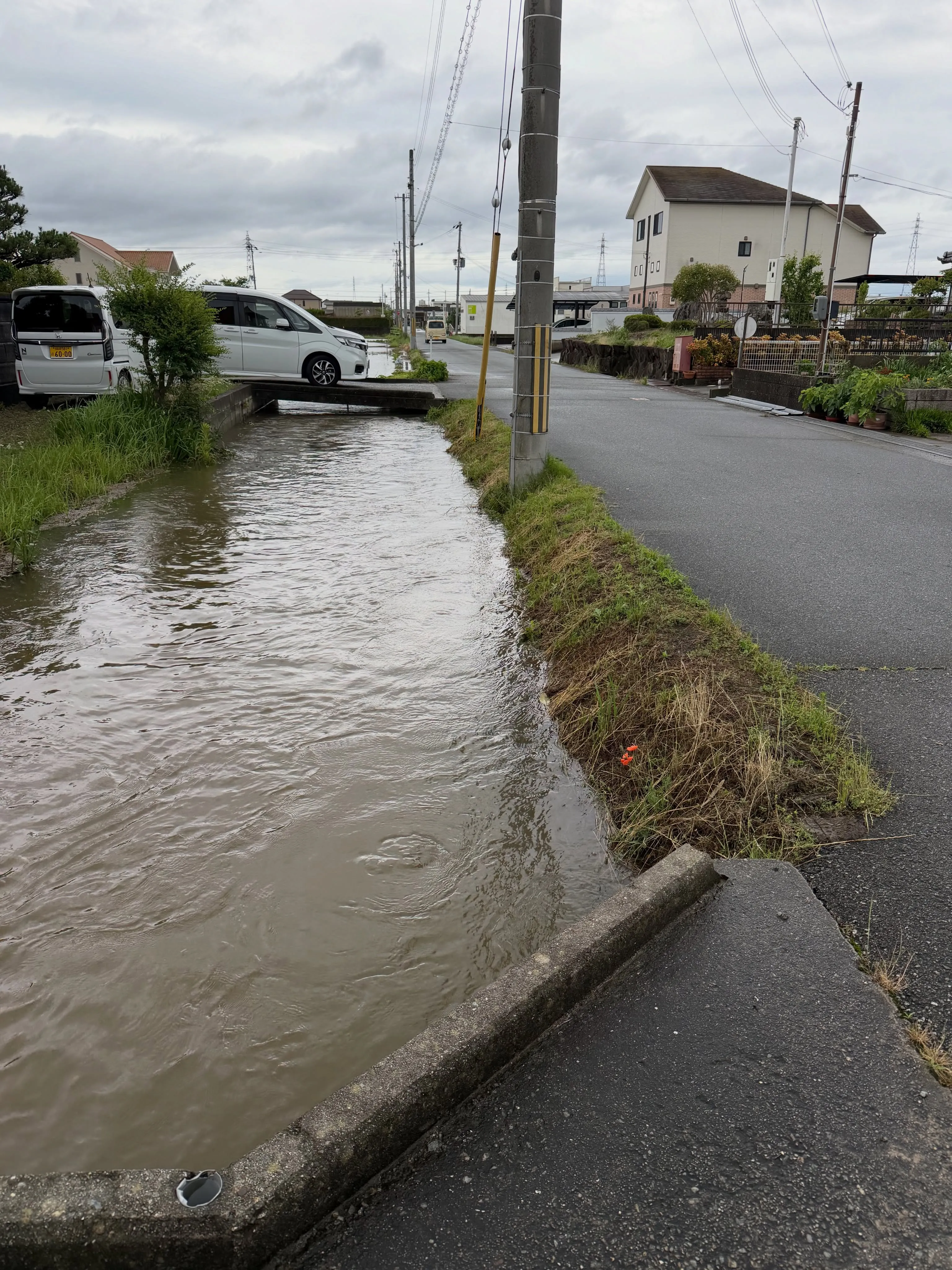 【台風６号一過 チャンミー】