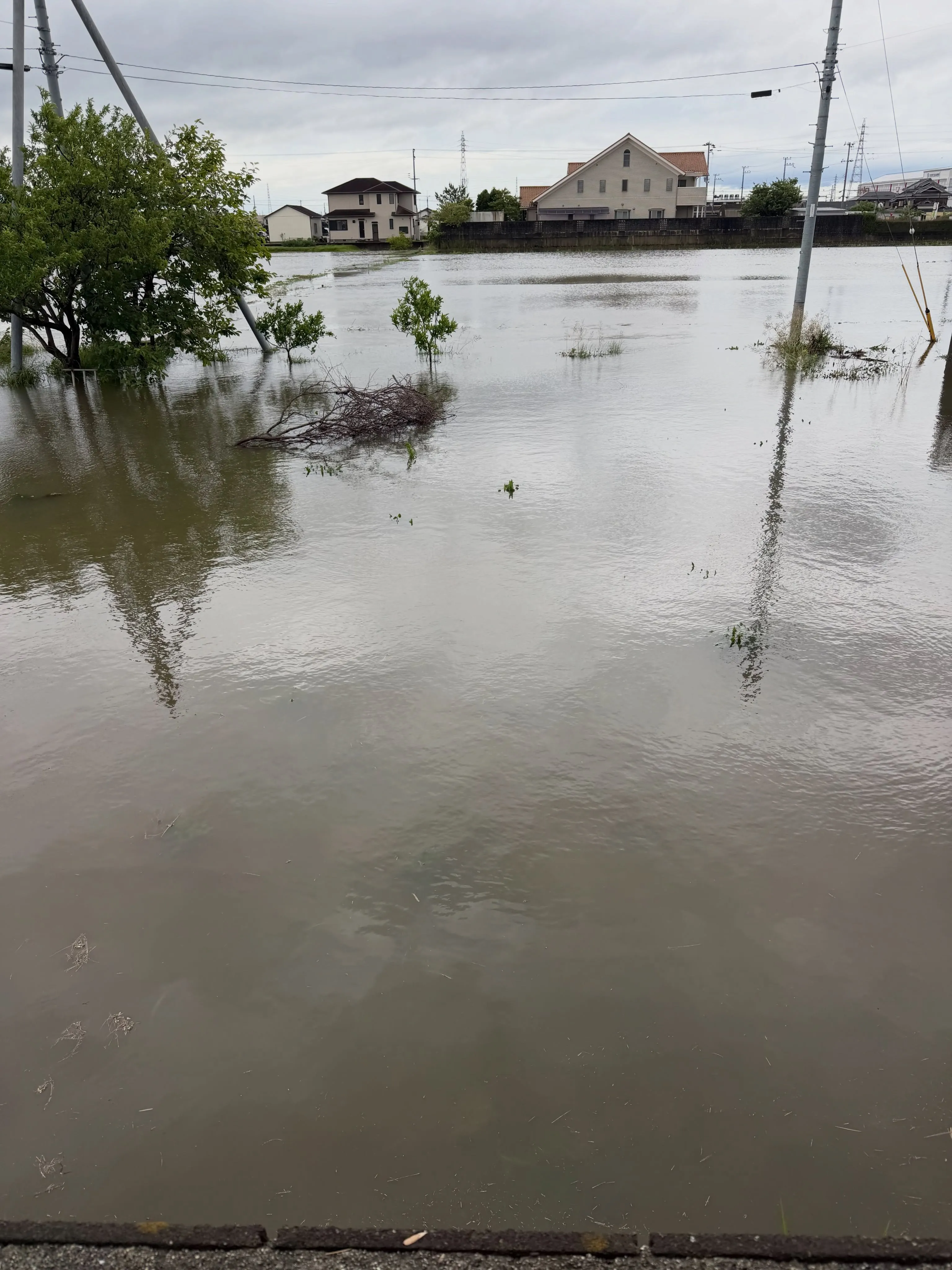 【台風６号一過 チャンミー】
