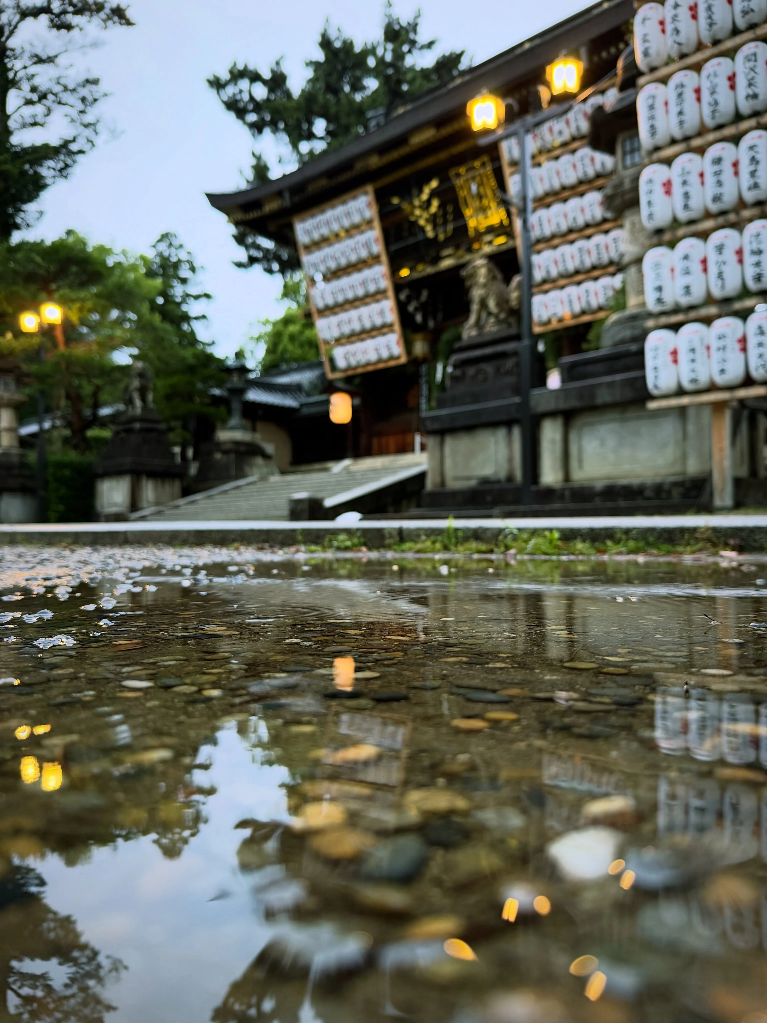 【京都 北野天満宮 天神市 毎月25日開催 骨董市】