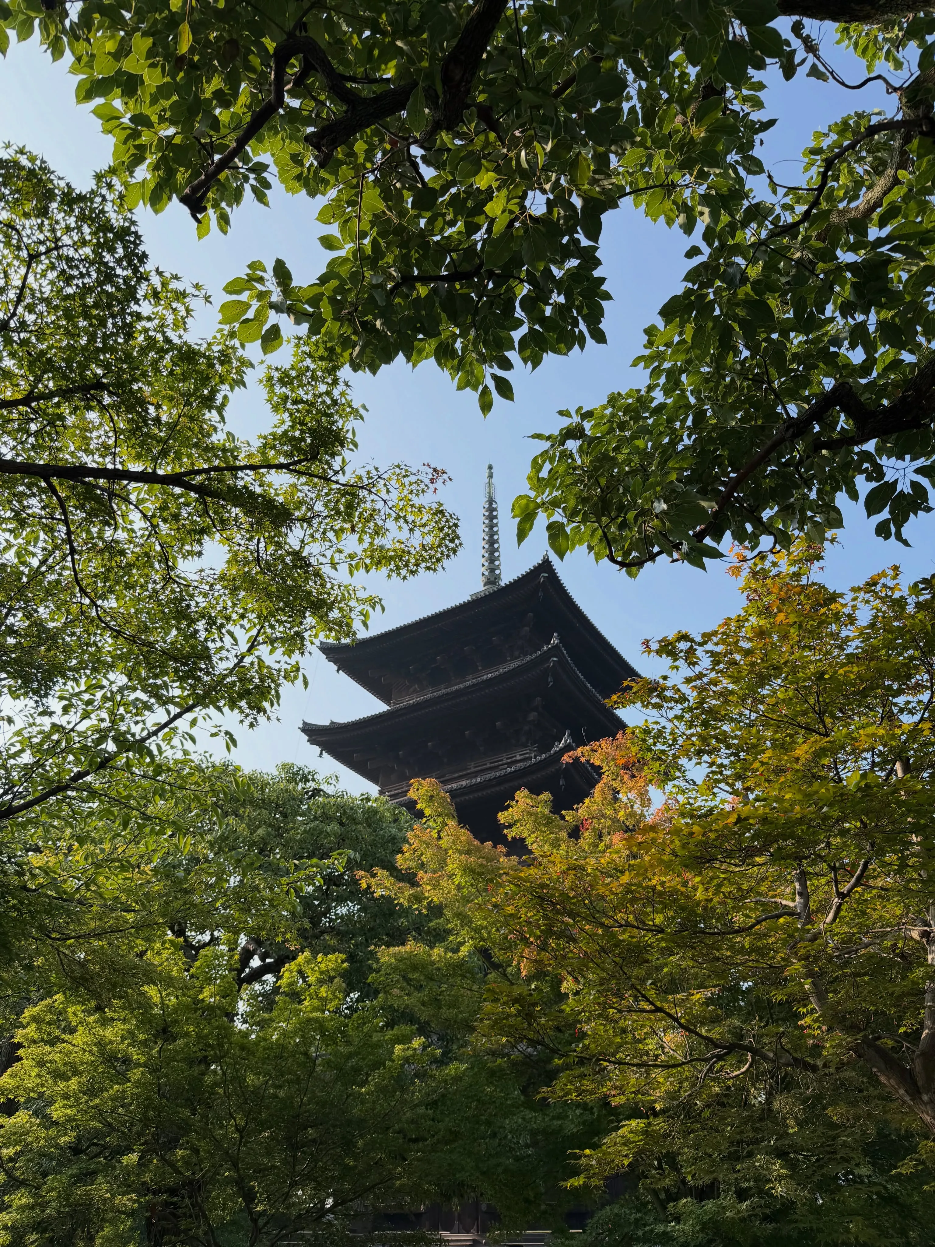 【京都 東寺 弘法市 毎月21日開催 骨董市】