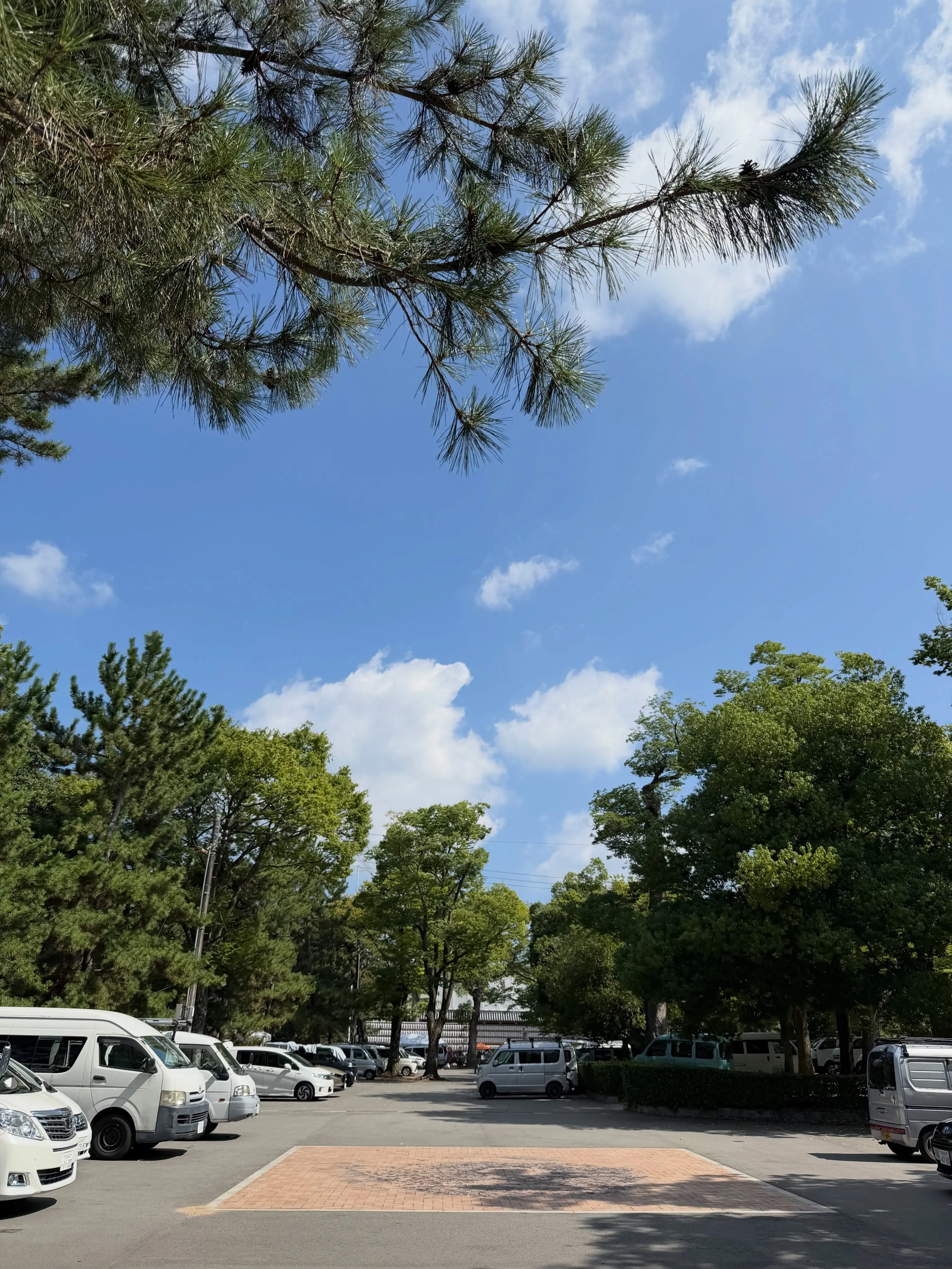 【京都 北野天満宮 天神市 酷暑】
