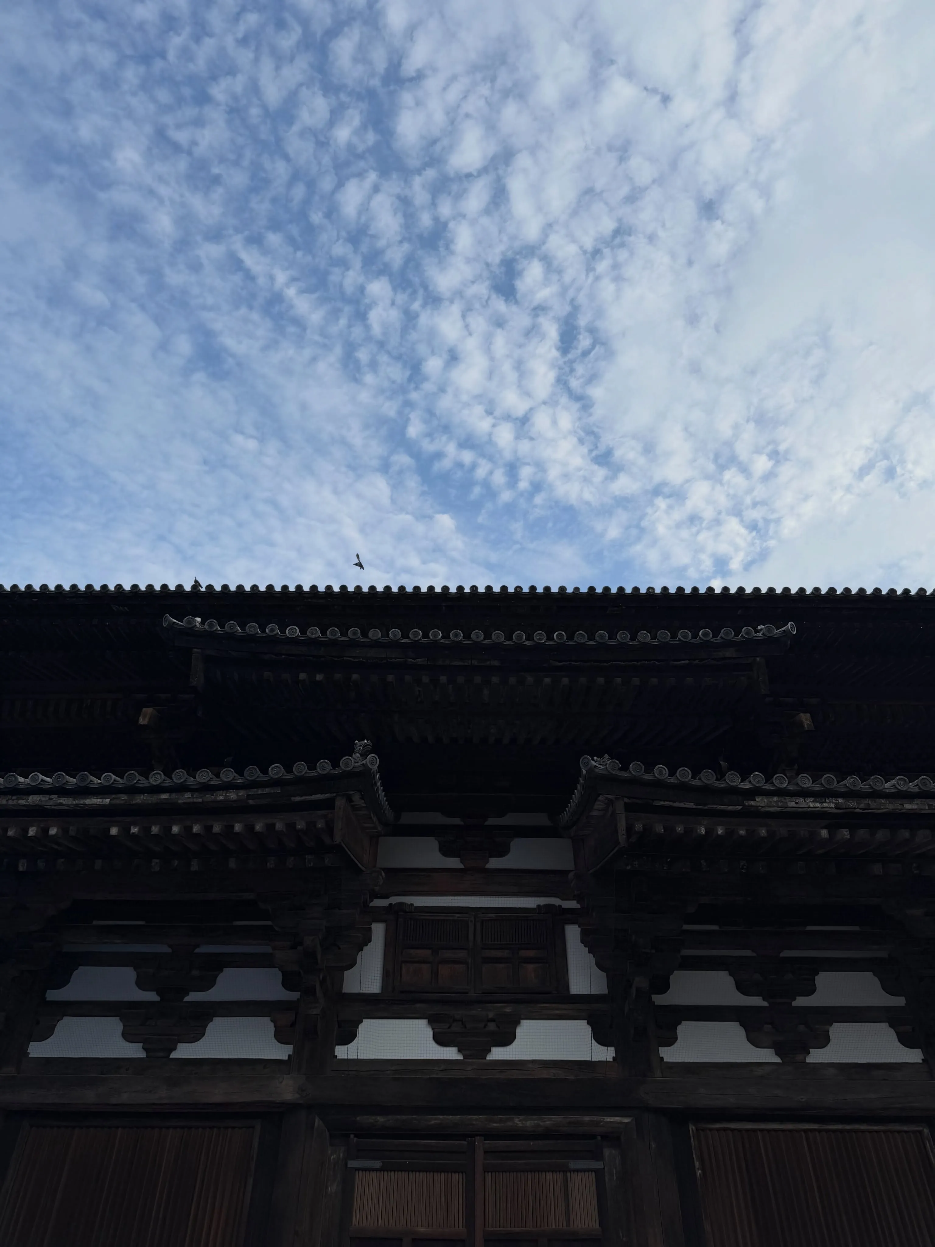 【京都 東寺 弘法市 毎月21日開催 骨董市】