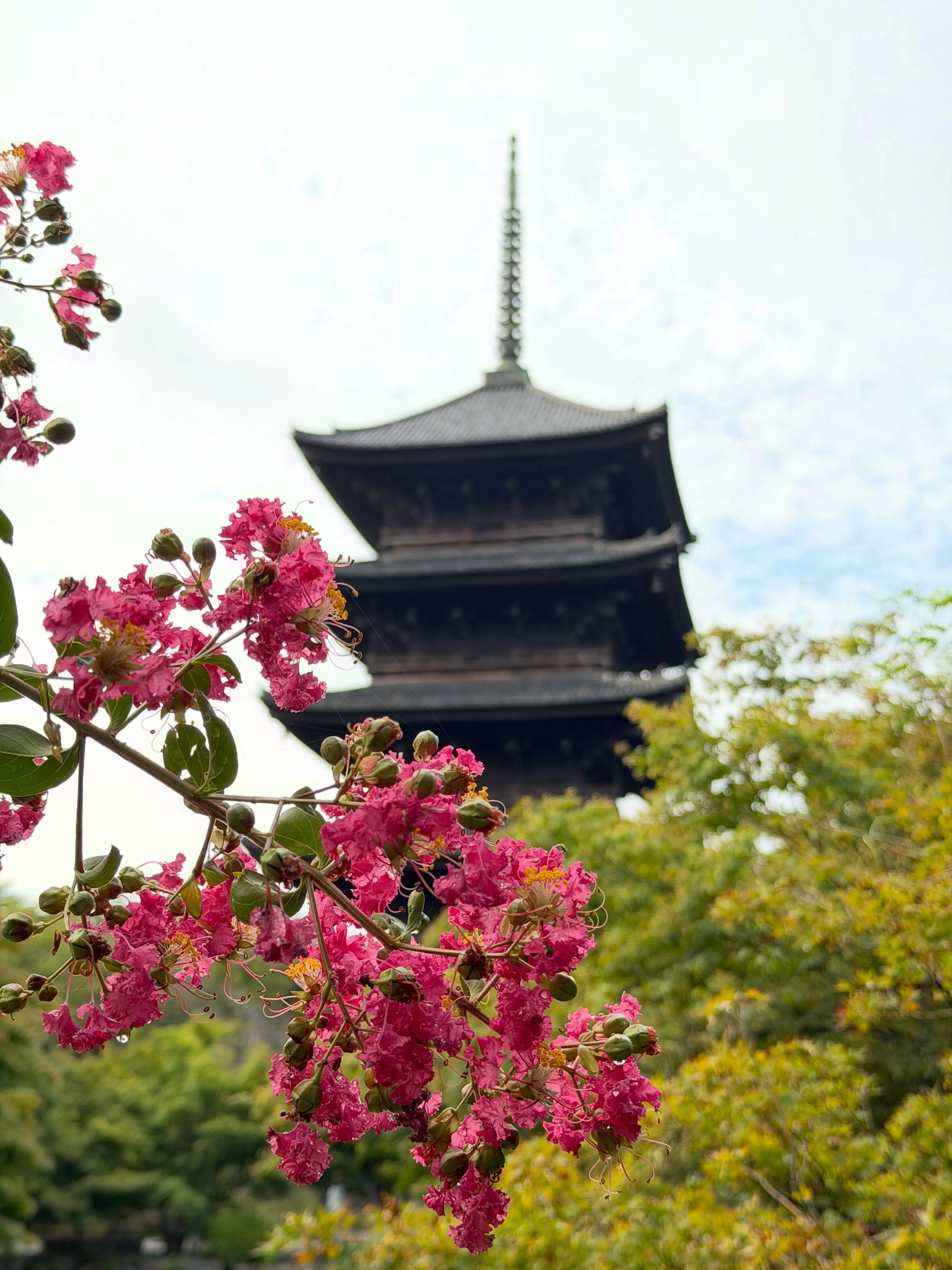 【京都 東寺 弘法市 毎月21日開催 骨董市】