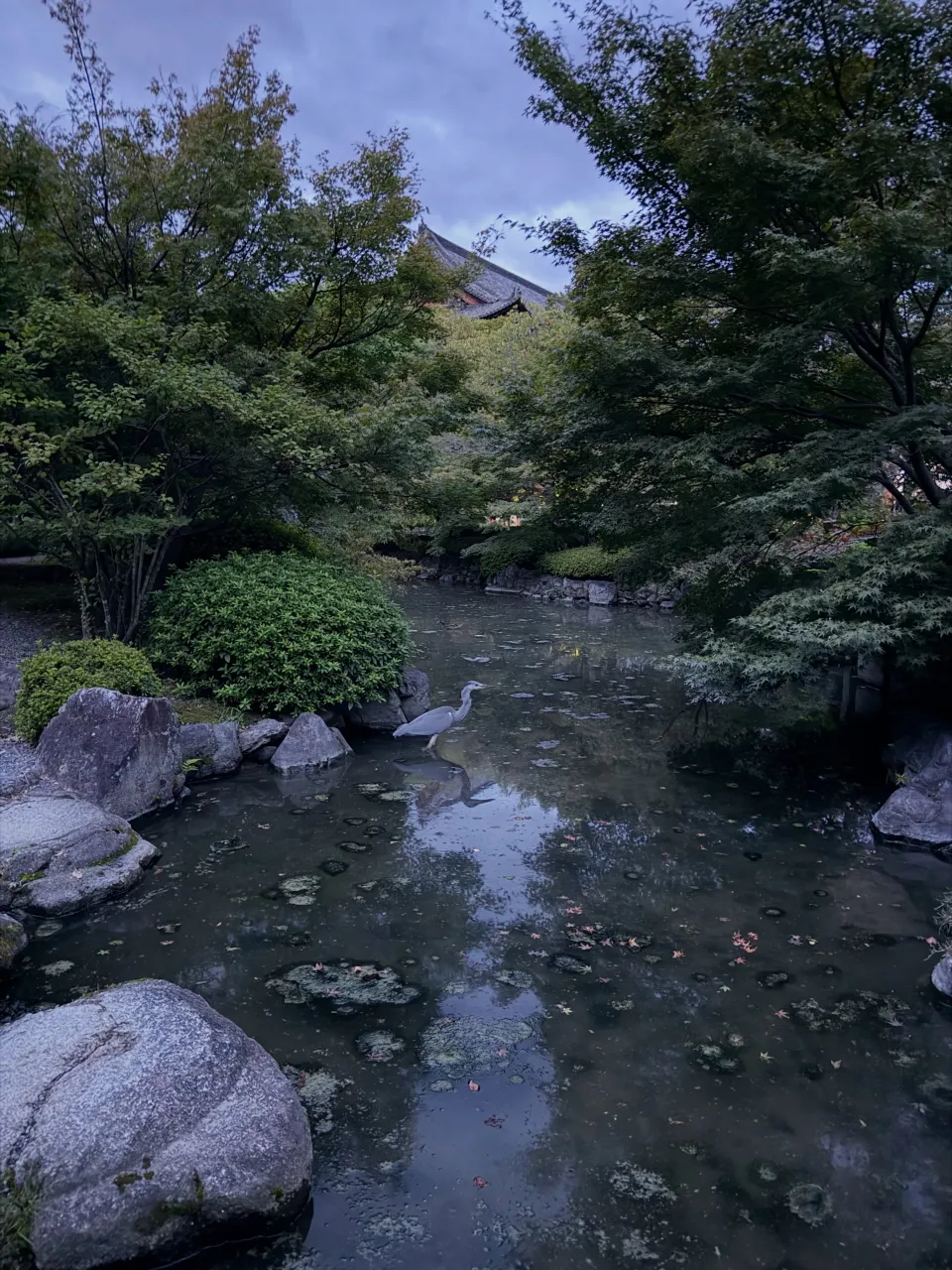 【京都 東寺 弘法市 毎月21日開催 骨董市】