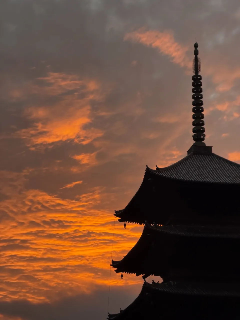 【京都 東寺 弘法市 毎月21日開催 骨董市】