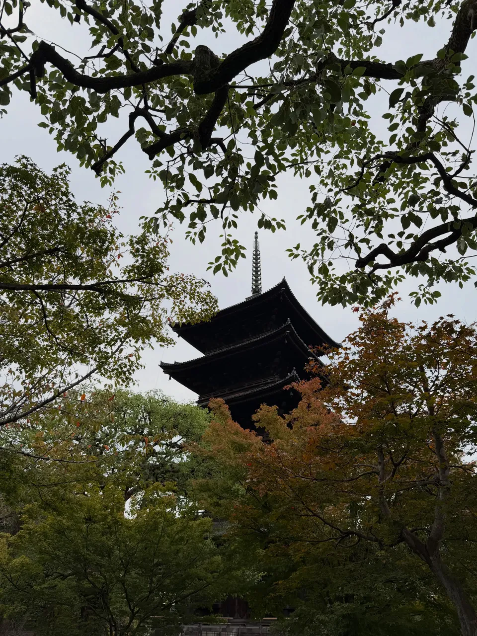 【京都 東寺 弘法市 毎月21日開催 骨董市】